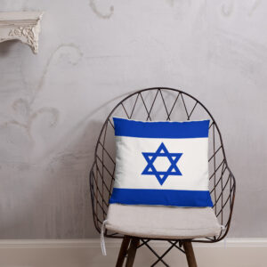 Empower Israel Basic Pillow